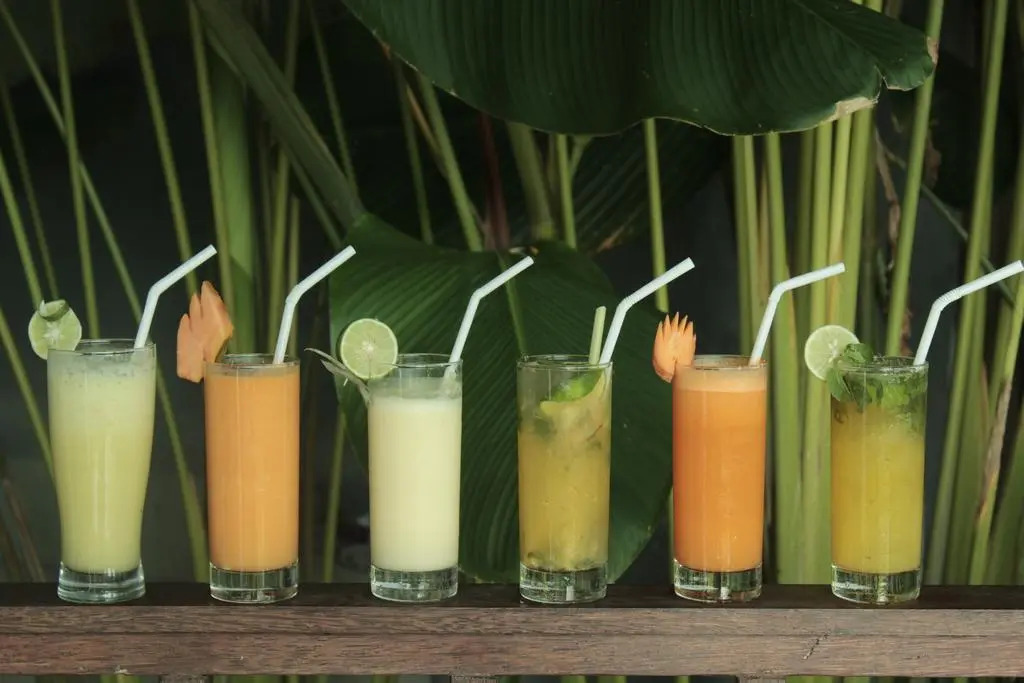 The Evitel Resort Ubud