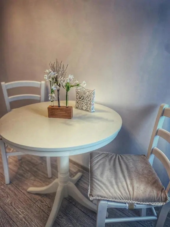 Q Apartaments near Palas Mall