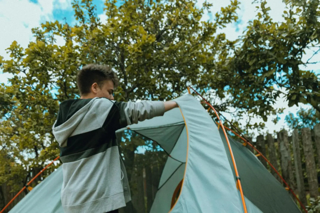 Camping Yellow Plum