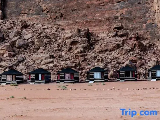 WhyDesert Camp & Tours