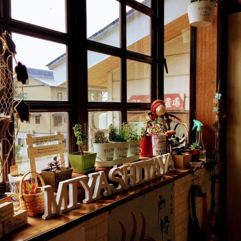 Miyashitaya