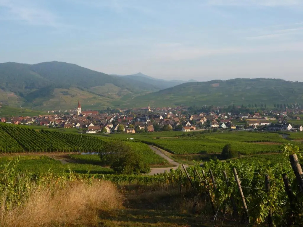 Gîte Sonnenberg