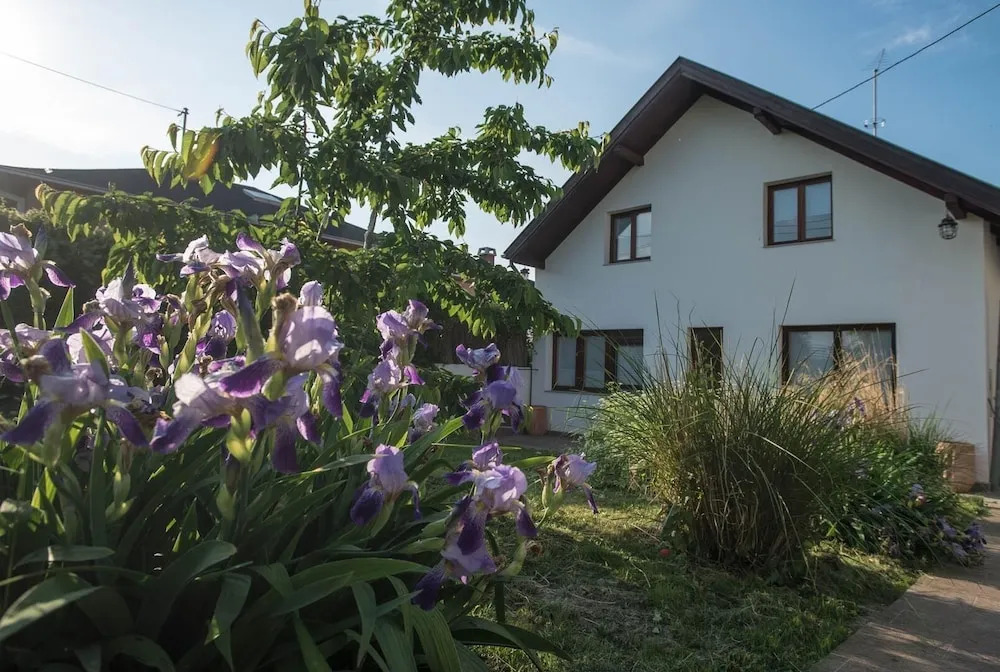 Apartments Osijek by the River