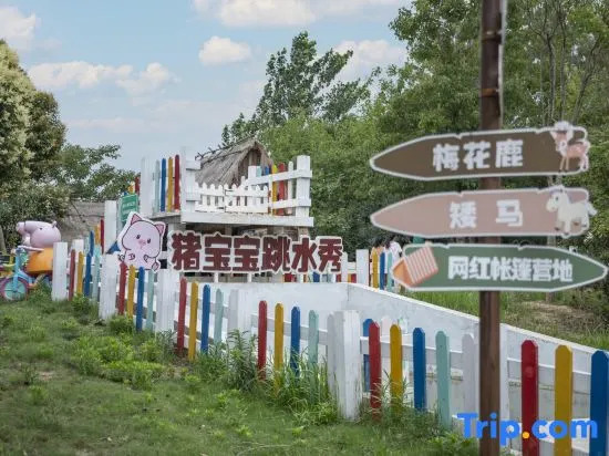 Wonderland Resort