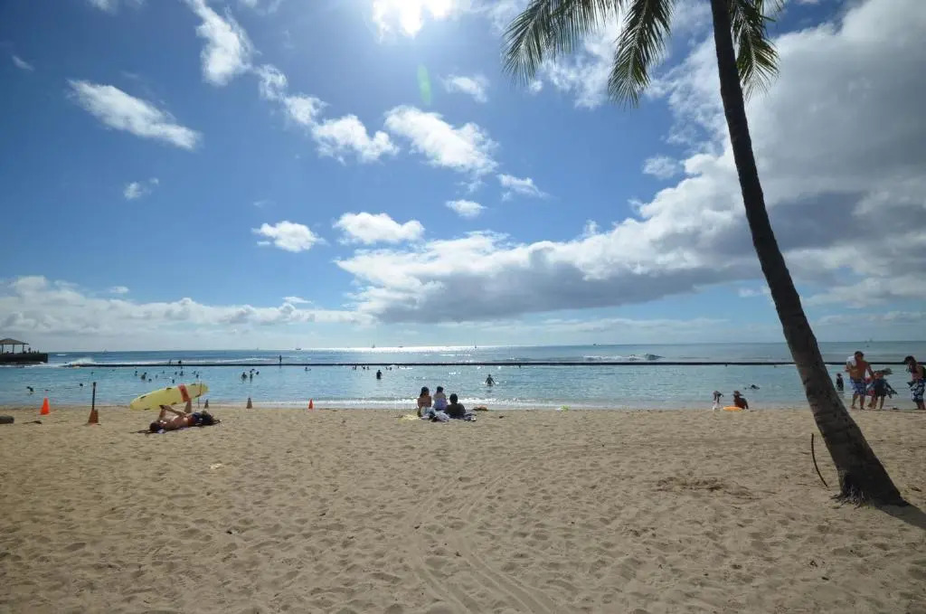 Hawaiian King 501 Studio, Pool and BBQ Grill, Sleeps 4