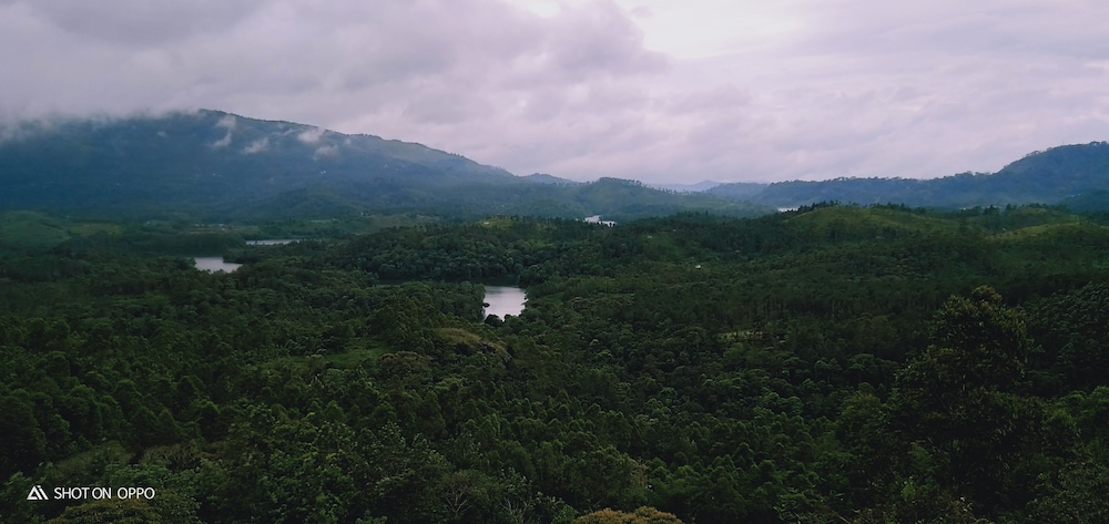 Lake View Camp