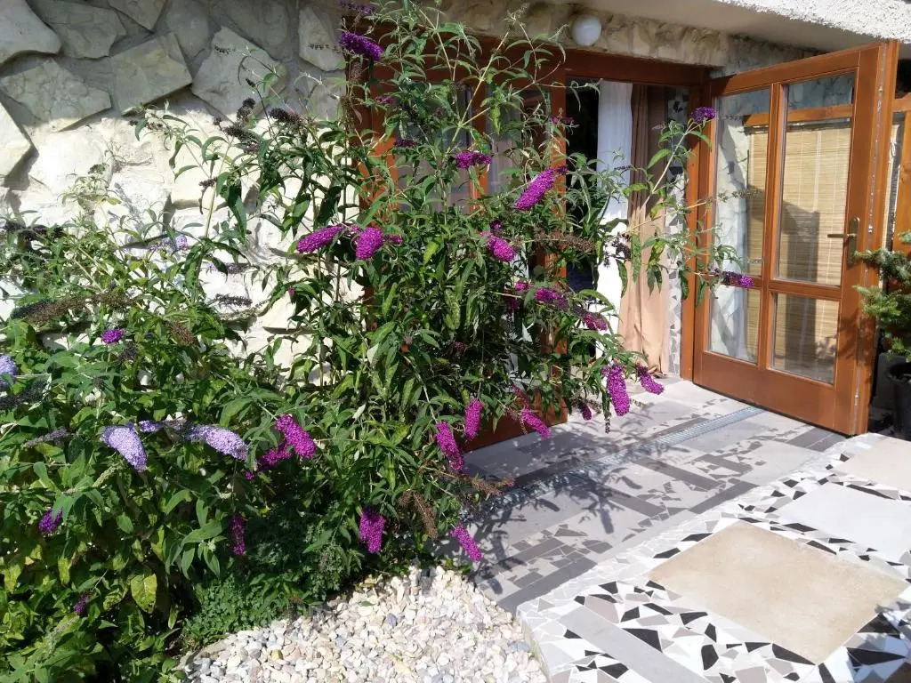 Apartmány Sharka -Šárka Justrová
