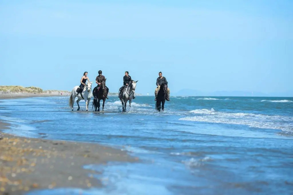 Playa de Muro - 266031