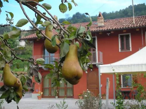 Mammanella