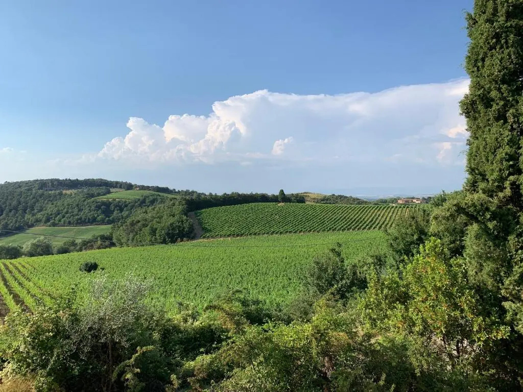 S. Bartolomeo II° - "La Loggetta"