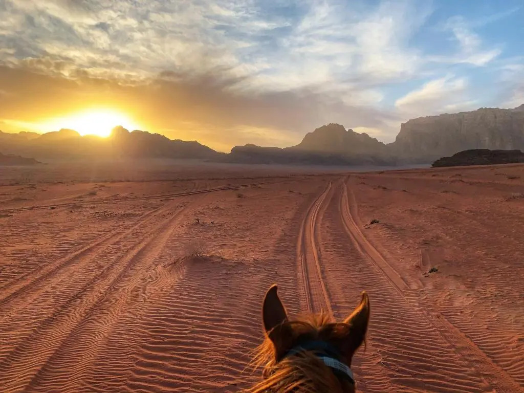 Wadi rum camp with tour