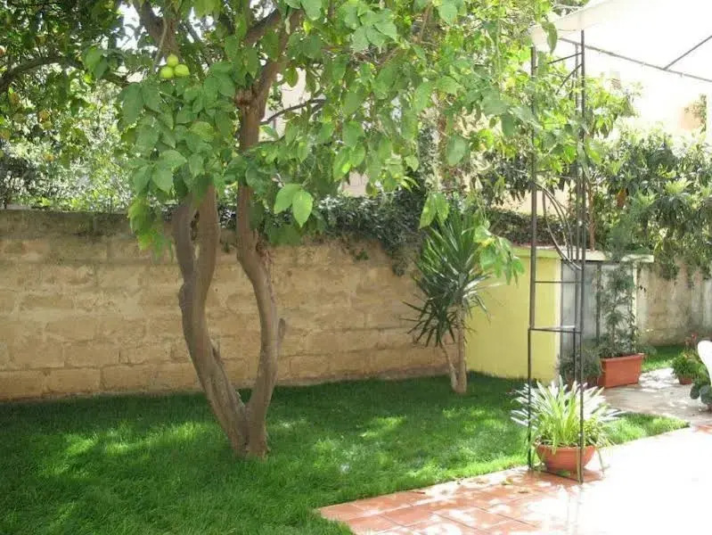 Il Giardinetto