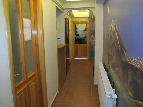 Buyukada Cinar Loft