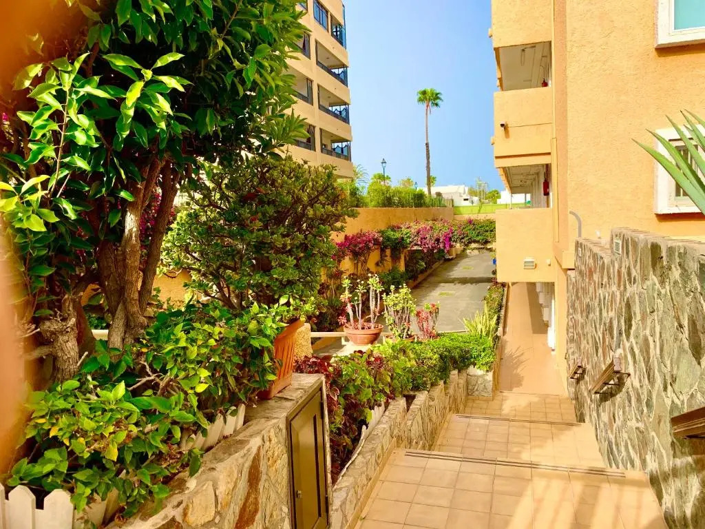 wonderful, lovely & quiet studio in playa del Inglés - WiFi free