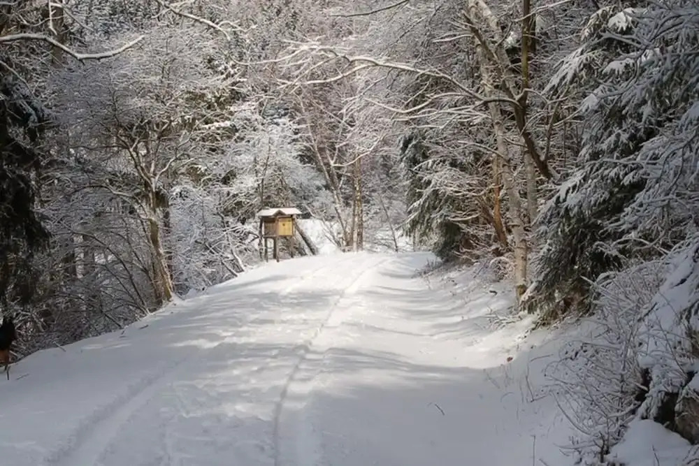 Holiday Home in Hasselfelde Near Selketalbahn