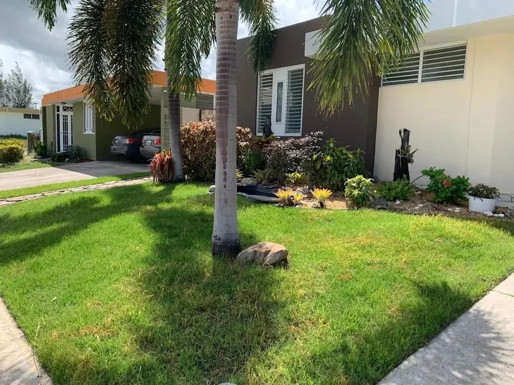Los Pinos House
