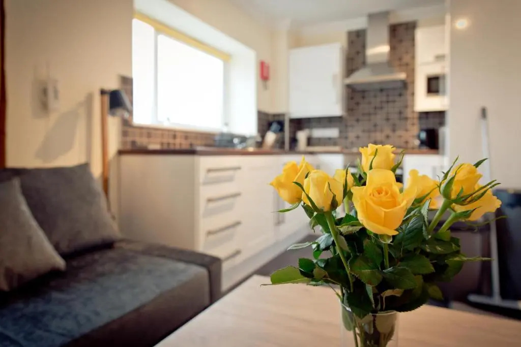 Top View 2 Bedroom Apartments Plymouth