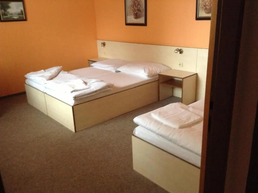 Hotel Mlyn - Jihlava