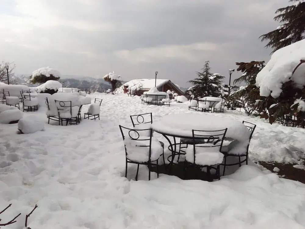 The Chalets Naldehra