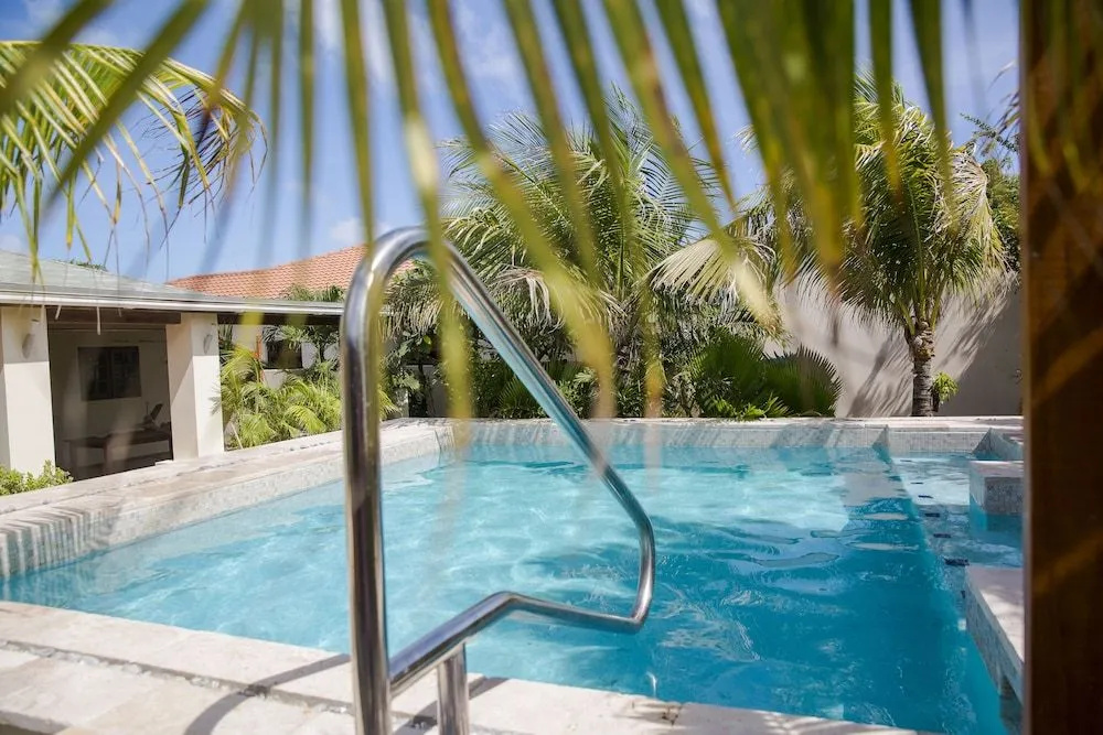 Little Jungle Apartments Aruba