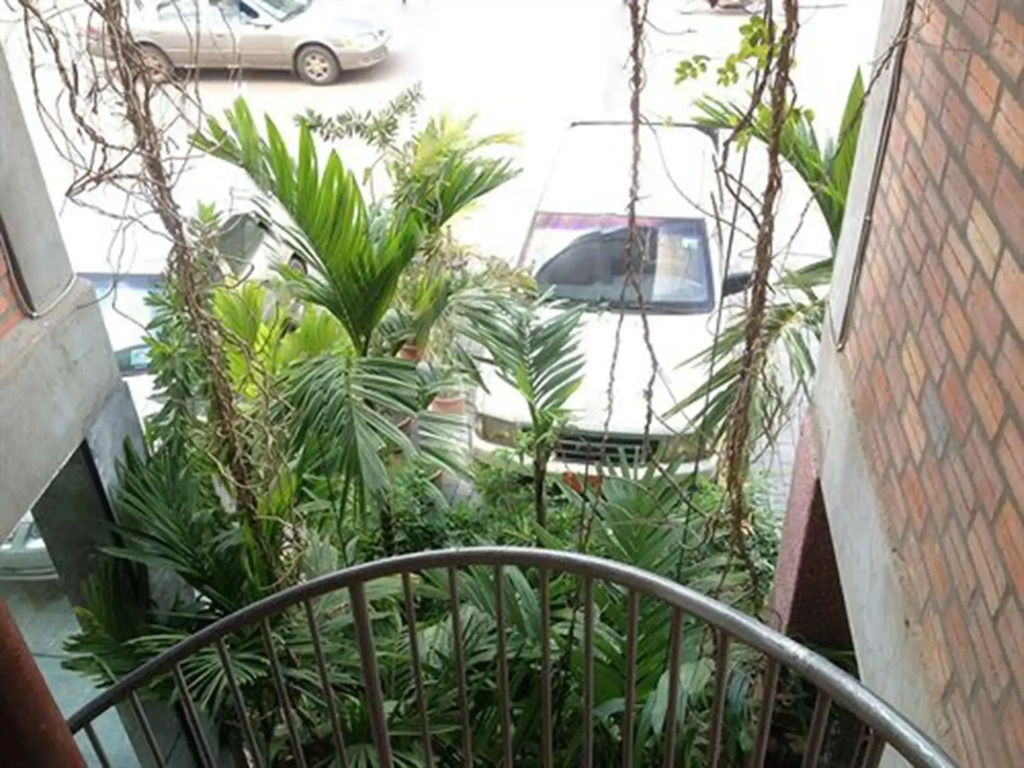 Naga Angkor Hostel