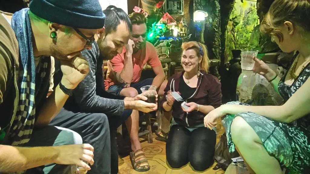 Tiny Tigers Hostel