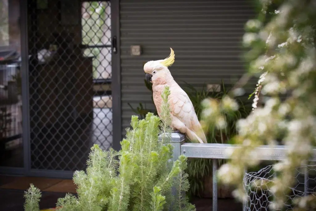 A Heavenly Escape