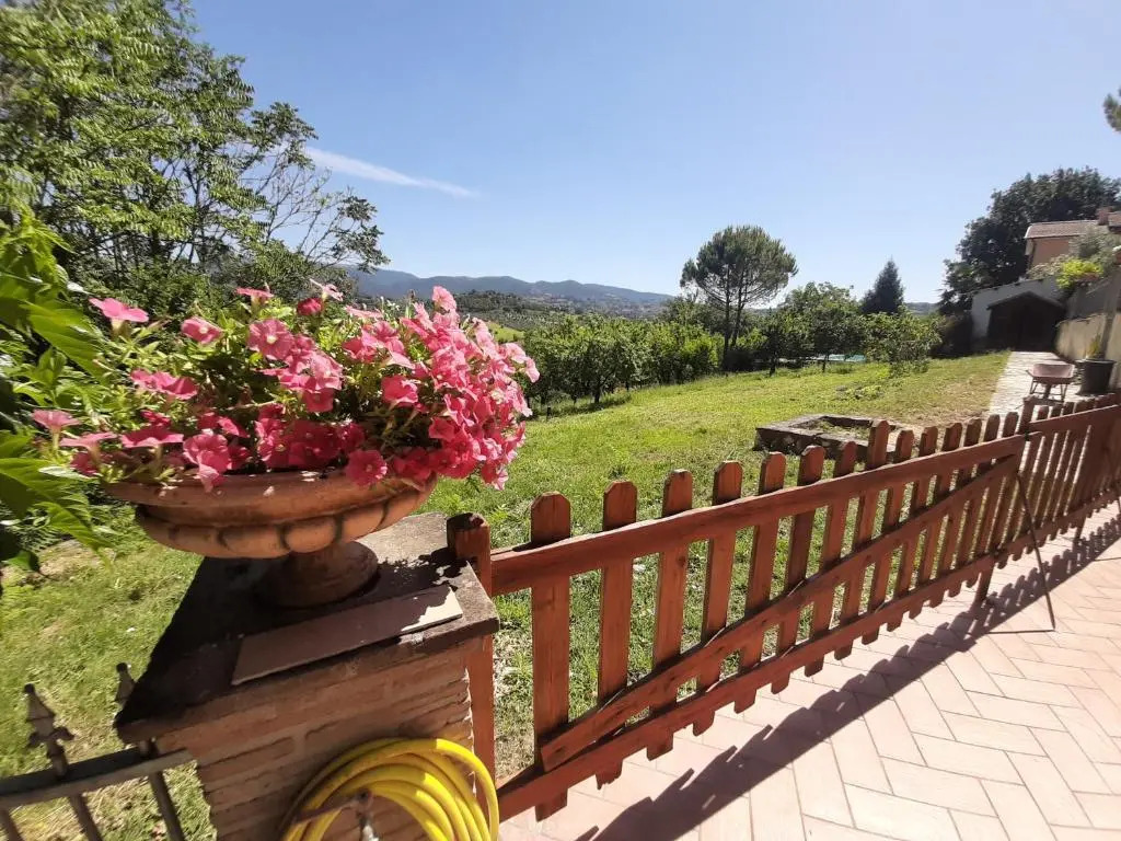 Villa Pacchini Wellness & Relax Retreat