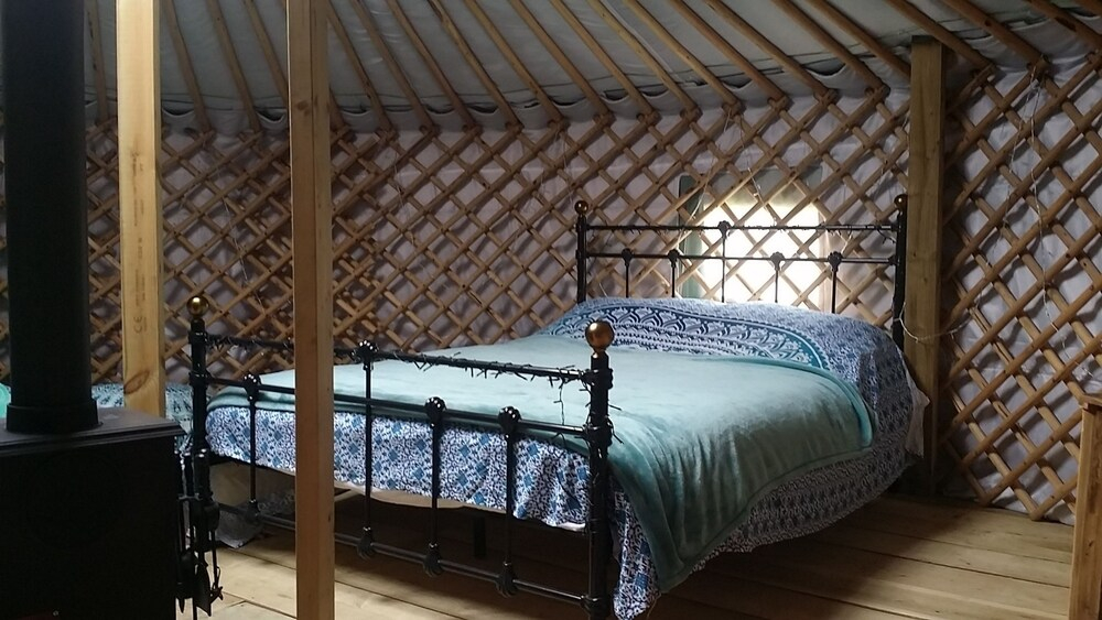 Wych Elm Glamping