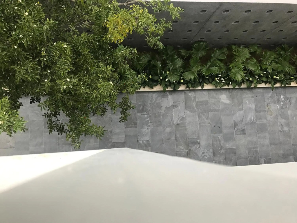 MyFa House