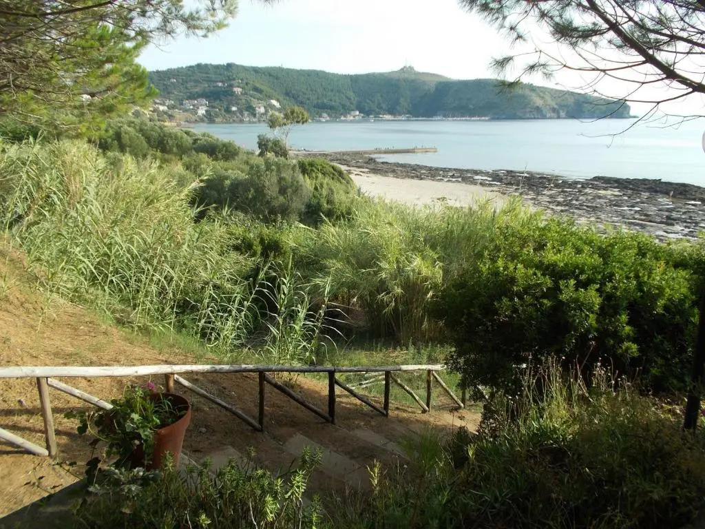 Amanti Del Mare