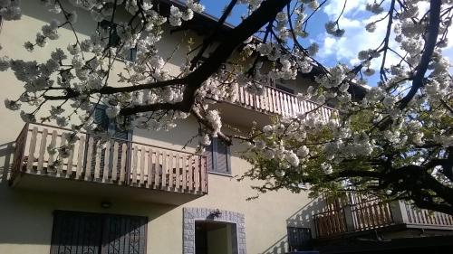 Belandin Ristorante Hotel