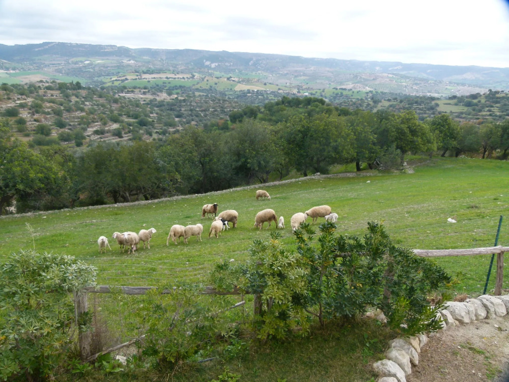 Agriturismo Villa Gaia