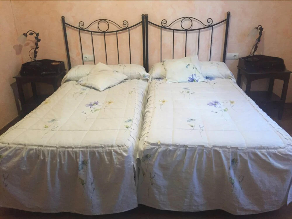 Hostal El Olmo