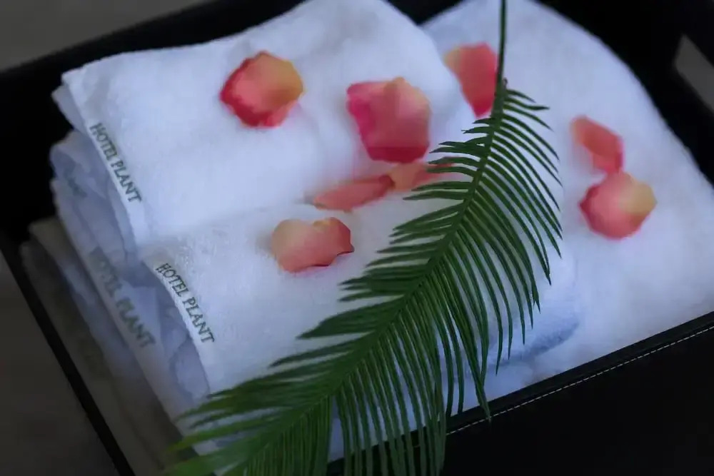 Hotel Plant Garden Resort