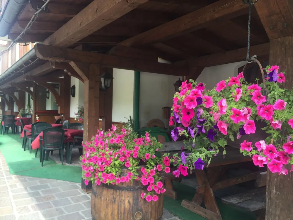 Hotel Tosa