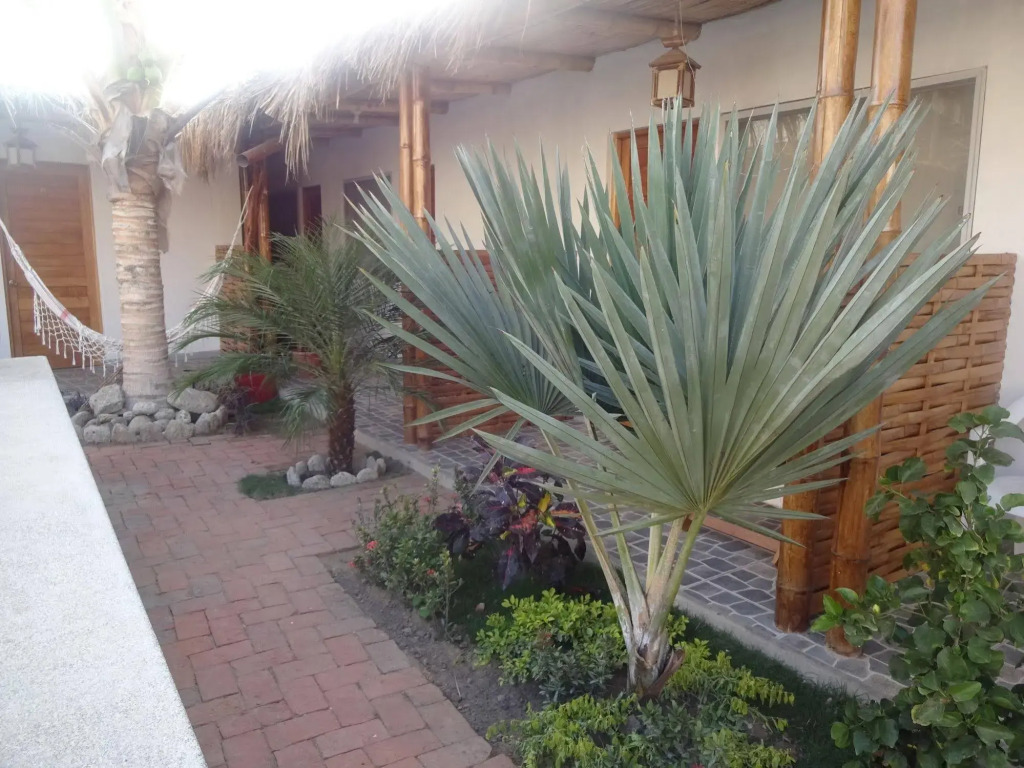 Akumal Hotel