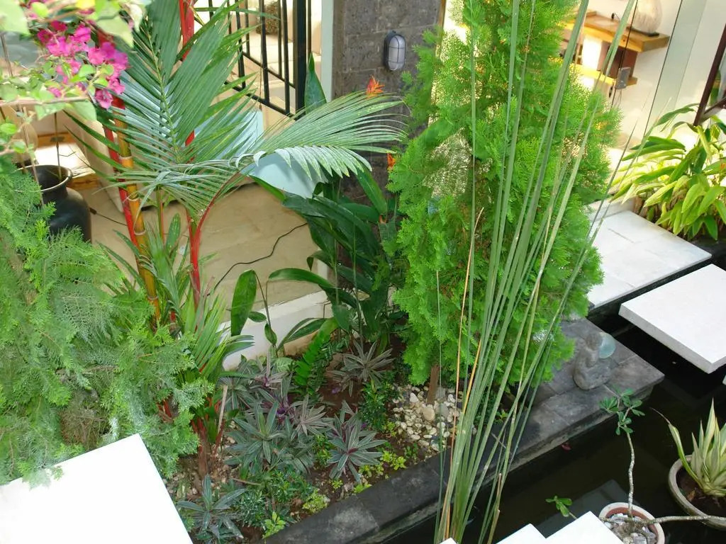 Villa Lebah