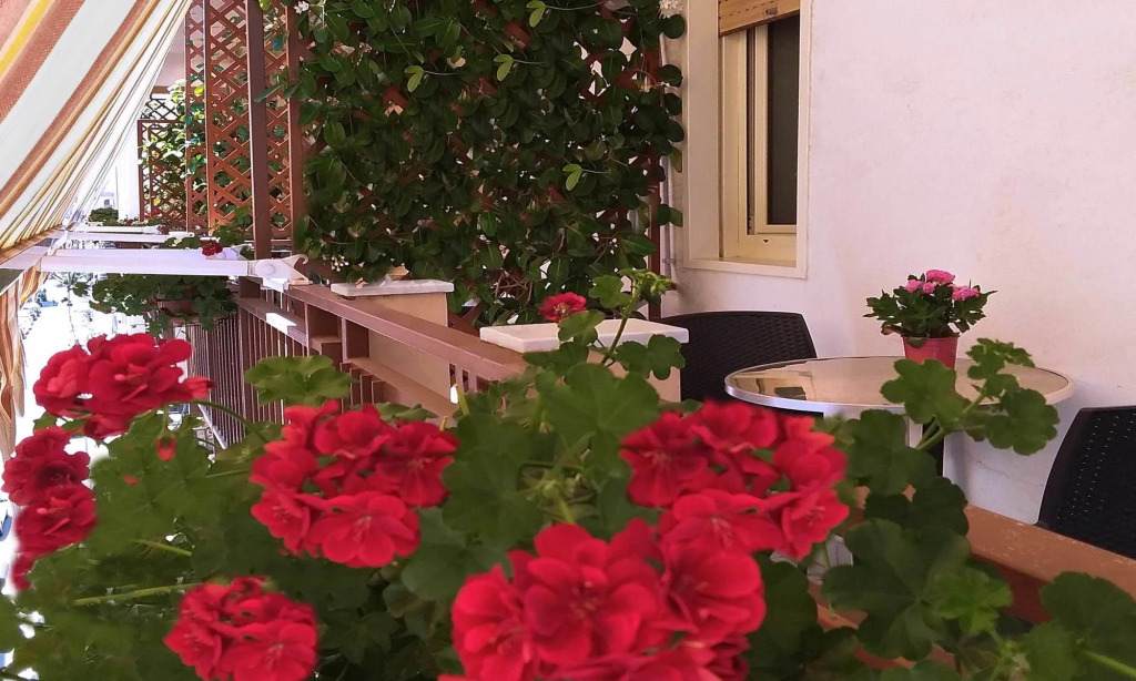 Solaris B&B