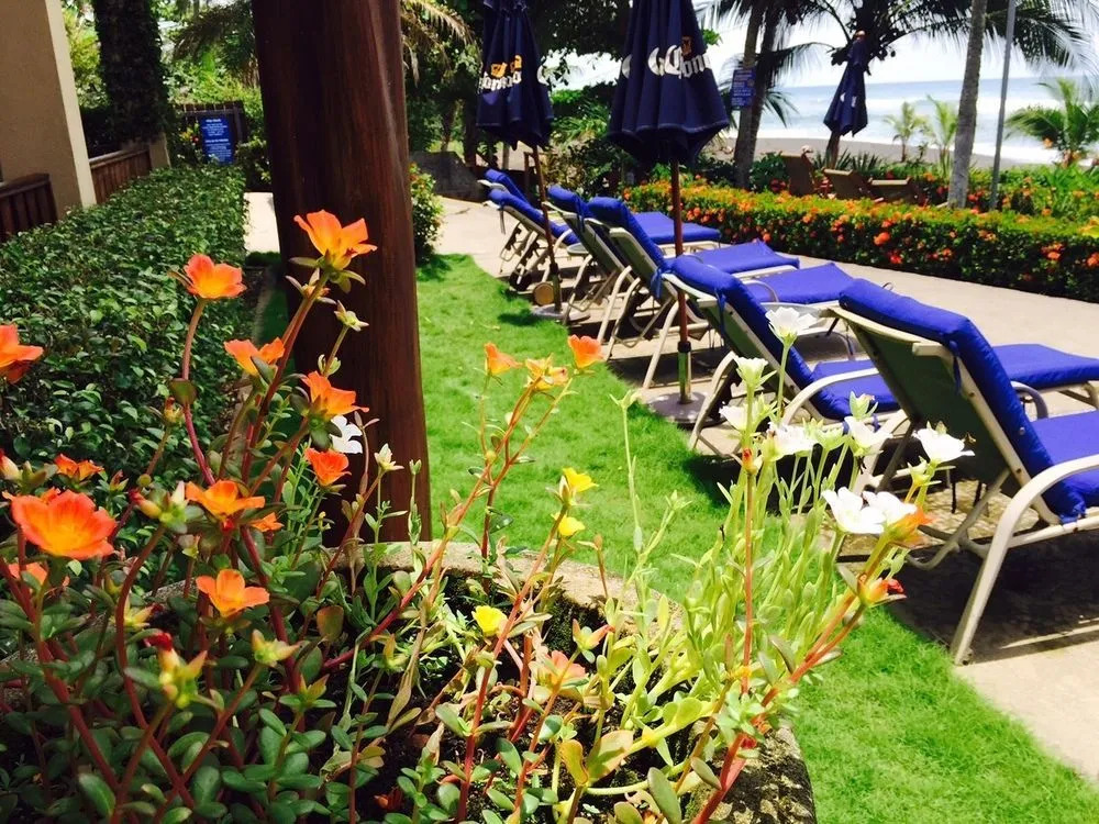 The Backyard Hotel