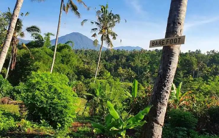 Hara Bali Eco Homestay