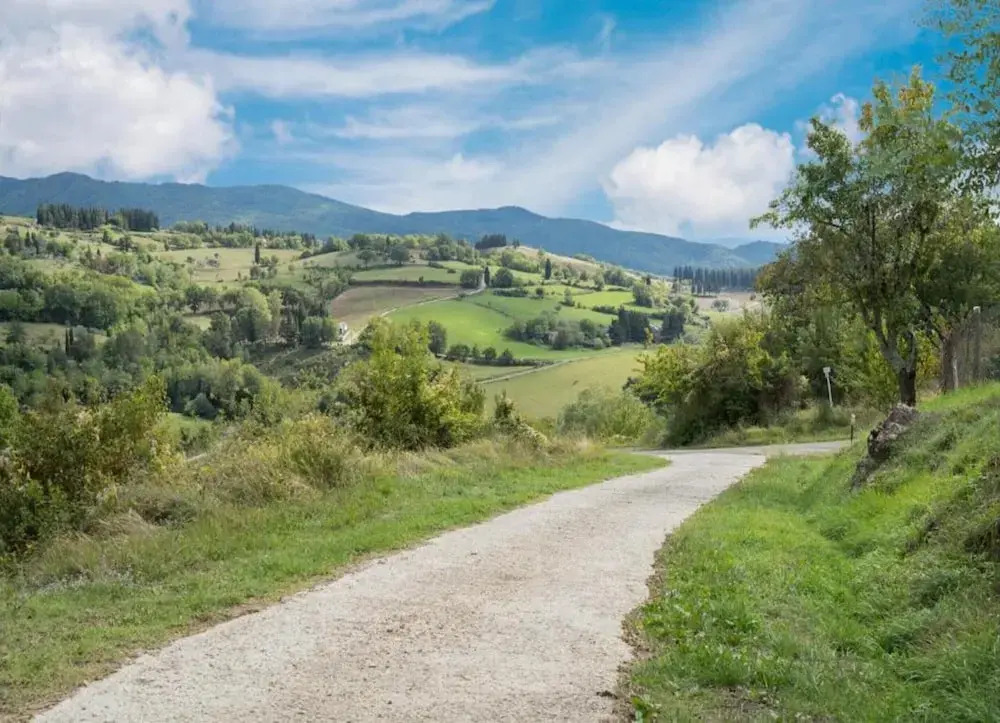 Agriturismo Poggio di Montepescoli - Il Ciliegio