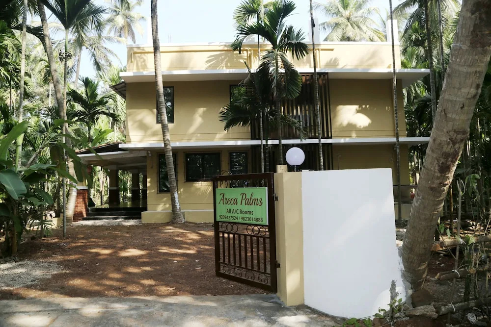 Areca Palms