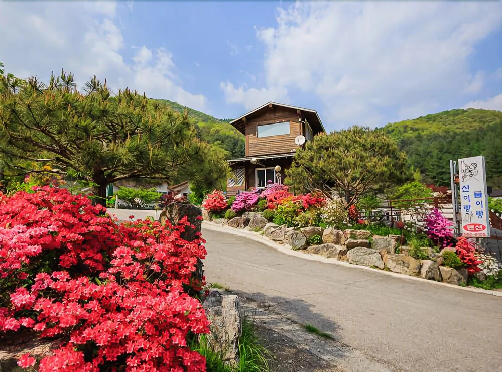 Gapyeong Mountain Or Sea Pension