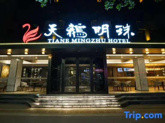 Swan Pearl Hotel (Zhengzhou CBD Convention and Exhibition Center Yanzhuang Metro Station)