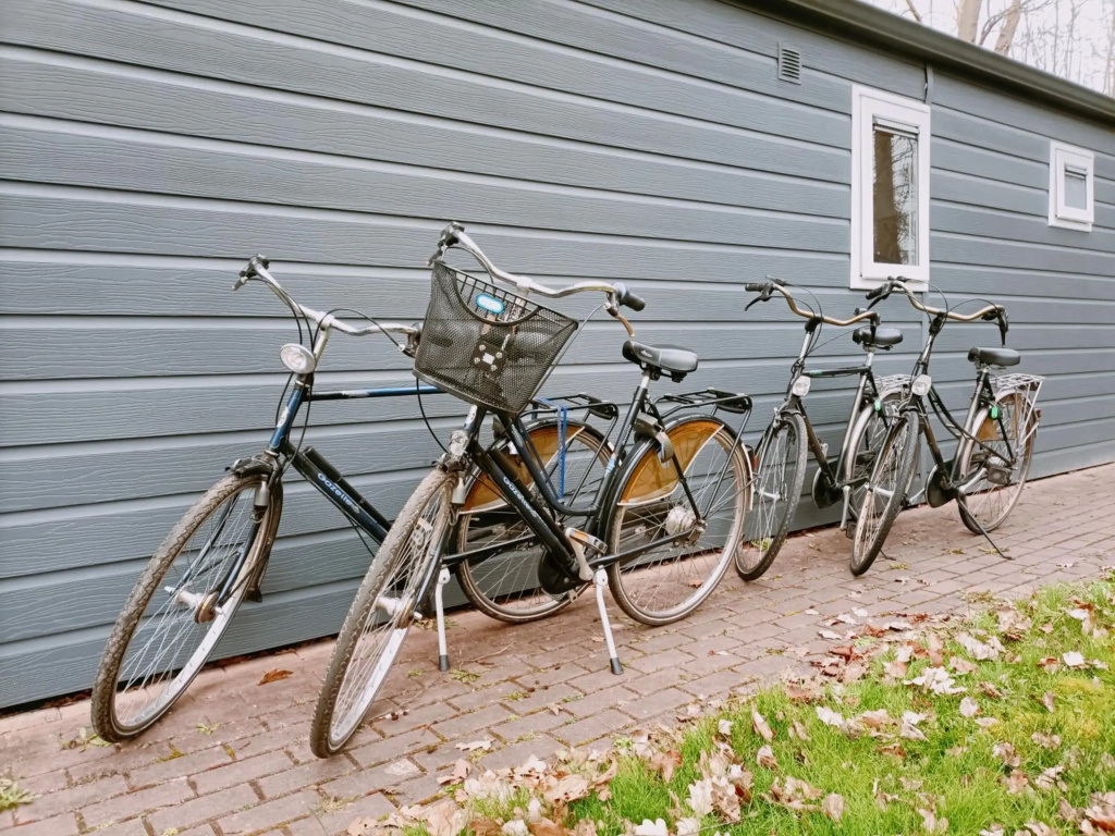 4p chalet TOLVE met 4 fietsen vlakbij natuurgebieden Drents Friese Wold, Fochteloërveen en gevangenisdorp Veenhuizen