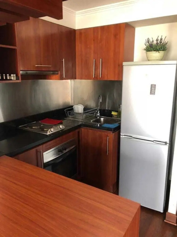 Apartamento Barros Borgoño