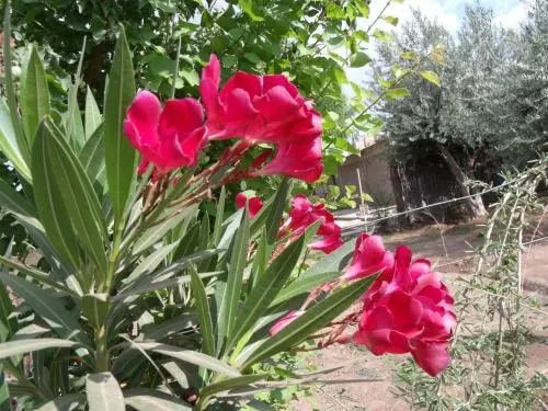 Posada Nocenta Pisetta