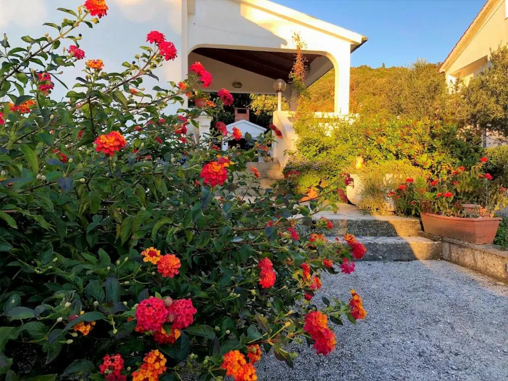 House Draga Accommodation