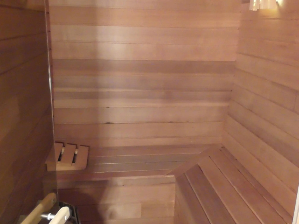 A Spacious, Tastefully Furnished Chalet With Sauna in a Traditional French Village